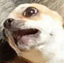 OOOOOOHHHH OOOOOOHHHH