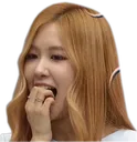 roseAnxious roseAnxious