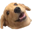 wowee wowee