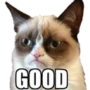 grumpygood grumpygood