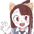 akkoWave