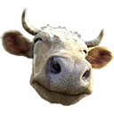cow