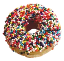 doughnut doughnut