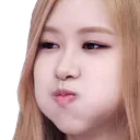 roseballoon roseballoon