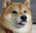 dogewithtongueout Discord emoji