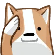 wgr7