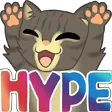 rryHype rryHype