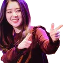 ireneguns