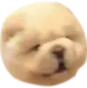 taterboye