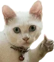thumbo