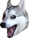 pundog