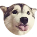 blepblep