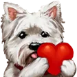 sqrlLOVE sqrlLOVE