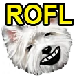 sqrlROFL
