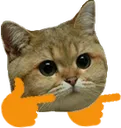 heyvel