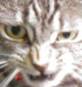 disgust Discord emoji