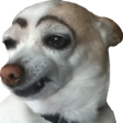 tbh Discord emoji