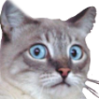ohmy Discord emoji