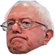 bernie Discord emoji