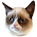 grumpycat Discord emoji
