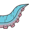 squid4