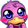 platyKAWAII
