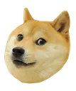 Doge