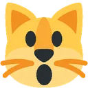 open_mouth_cat