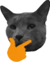 ThinkMeow