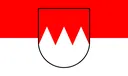 flag_cat flag_cat