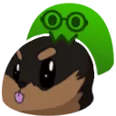NoobNomCarti