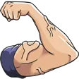 dibzFlex2