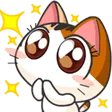 catooo