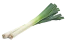 leek