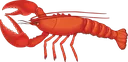lobster