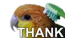 thank