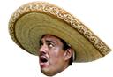 mariachihead Discord emoji