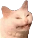 hnn