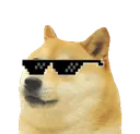DogeCool