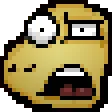 rexWTF