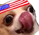 DogFREE