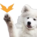 HypeBOYE