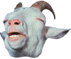 goat goat