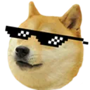 dogewithit dogewithit