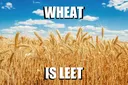 wheatisleet