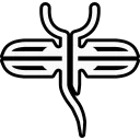 portal8