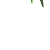 hi11