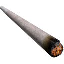 joint