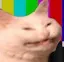 TURBOCAT