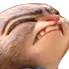 judydmv